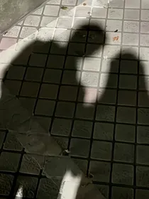 念念向扬