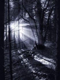 森林里的女巫