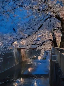 末日危机：希望之翼