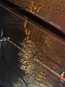 缠夏
