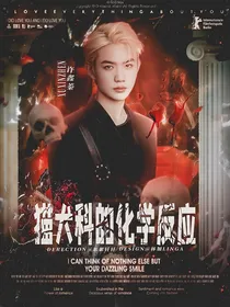 许鑫蓁：猫犬科的化学反应