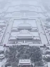 叶罗丽：无人区的玫瑰
