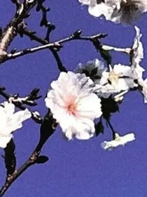 幻灯故事会