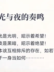 光与夜的奏鸣