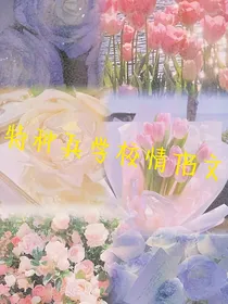 特种兵学校之情侣文