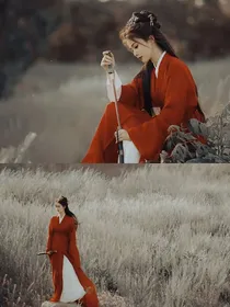 综影视：已觉春心动