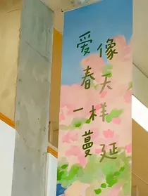 综影视瑾瑜