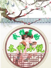 我推荐的各种小说