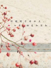 红豆忆往昔
