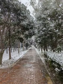 快穿之炮灰女配打脸记