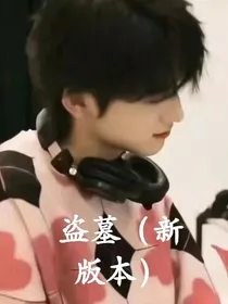 盗墓（新版本）