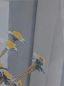 同一片天空，不一片云