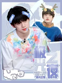 TF家族：极光之夜