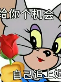 不吉岛叫什么好（更猫鼠）