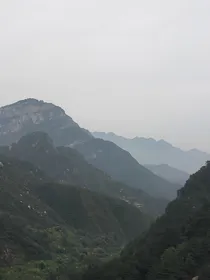 青山客此地