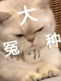 kpl：网恋指南