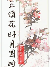 正值花好月圆时