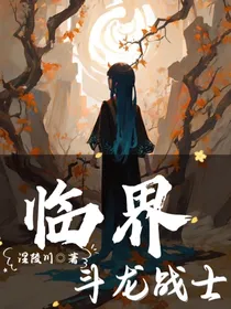 斗龙战士之临界