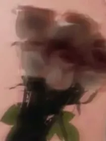 翼胜：冬念十旧