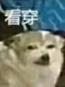 勺里刮气的