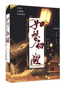 穿书：如梦初醒