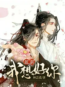 蓝湛，我好想你