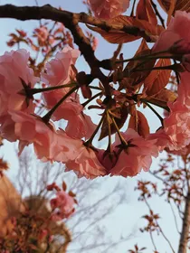 综穿：恋爱体验官