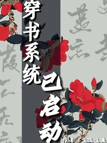 穿书系统已启动