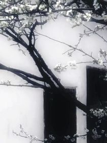我要让你忘不掉我