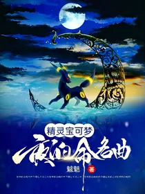 精灵宝可梦：夜的命名曲