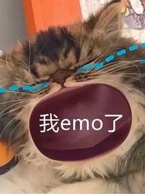 tired了