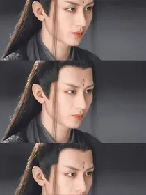 琉璃：我爱你司凤