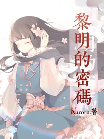 黎明的密码