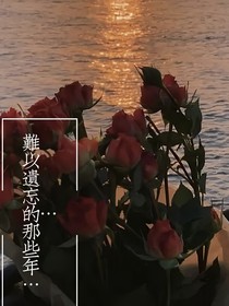 难以遗忘的那些年……