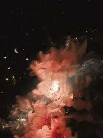 神兽金刚之全员恶人