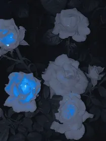 近水