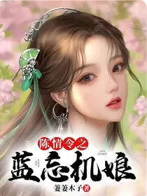 陈情令之蓝忘机娘