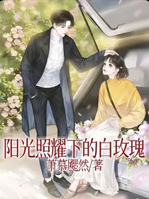 阳光照耀下的白玫瑰