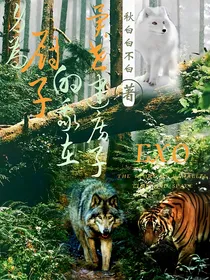 EXO：身为厨子的我在异世建房子