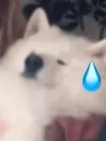 爆笑名场面