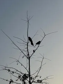末日畸变