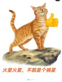 猫武士，沙雕学院