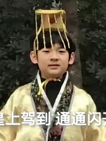 TF家族三代：我成了十二个孩子的娘？！