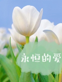 挽挽