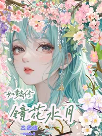 如懿传之镜花水月