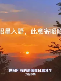 昭星入野，此意寄昭昭