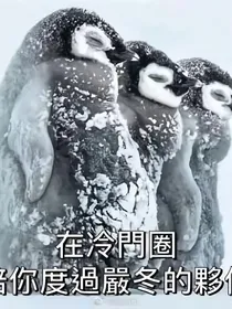 盗笔之心窠（龙葵张起灵同人文）