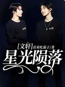 文轩：星光陨落