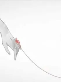 穿越战国之红线已断