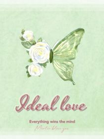HP：Ideal—love